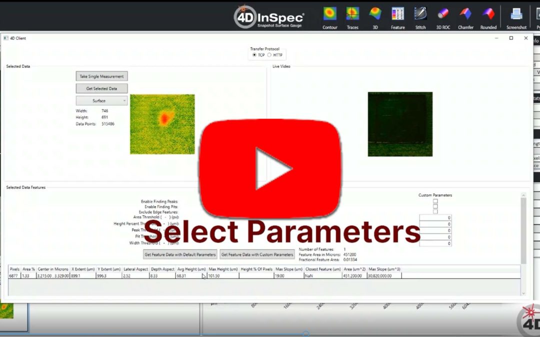 Remote access to 4D InSpec